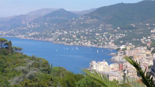 Villa Rosmarino Camogli Eksteriør bilde